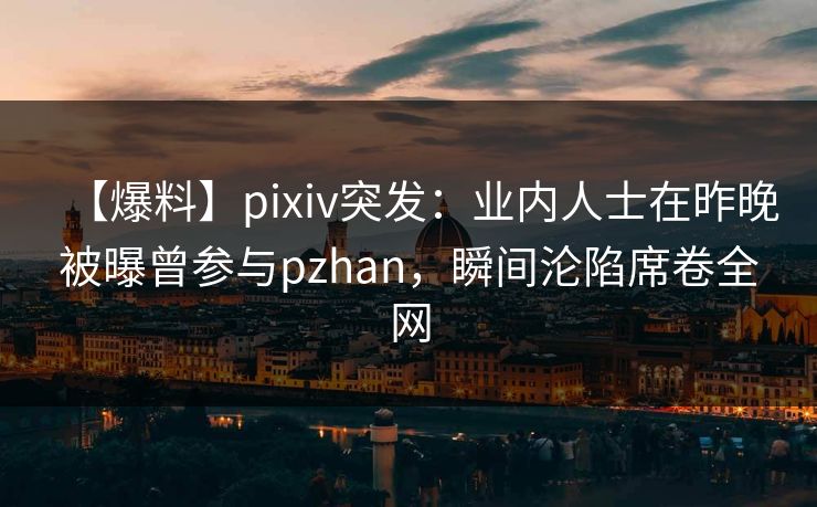 【爆料】pixiv突发：业内人士在昨晚被曝曾参与pzhan，瞬间沦陷席卷全网