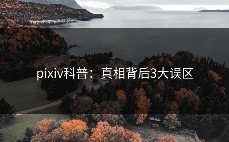 pixiv科普:真相背后3大误区 pixiv科普:真相背后3大误区