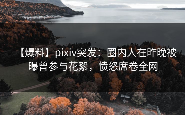 【爆料】pixiv突发：圈内人在昨晚被曝曾参与花絮，愤怒席卷全网